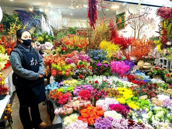 从花市到生活空间,虹桥花市25载蝶变 从花市到生活空间,虹桥花市25载蝶变